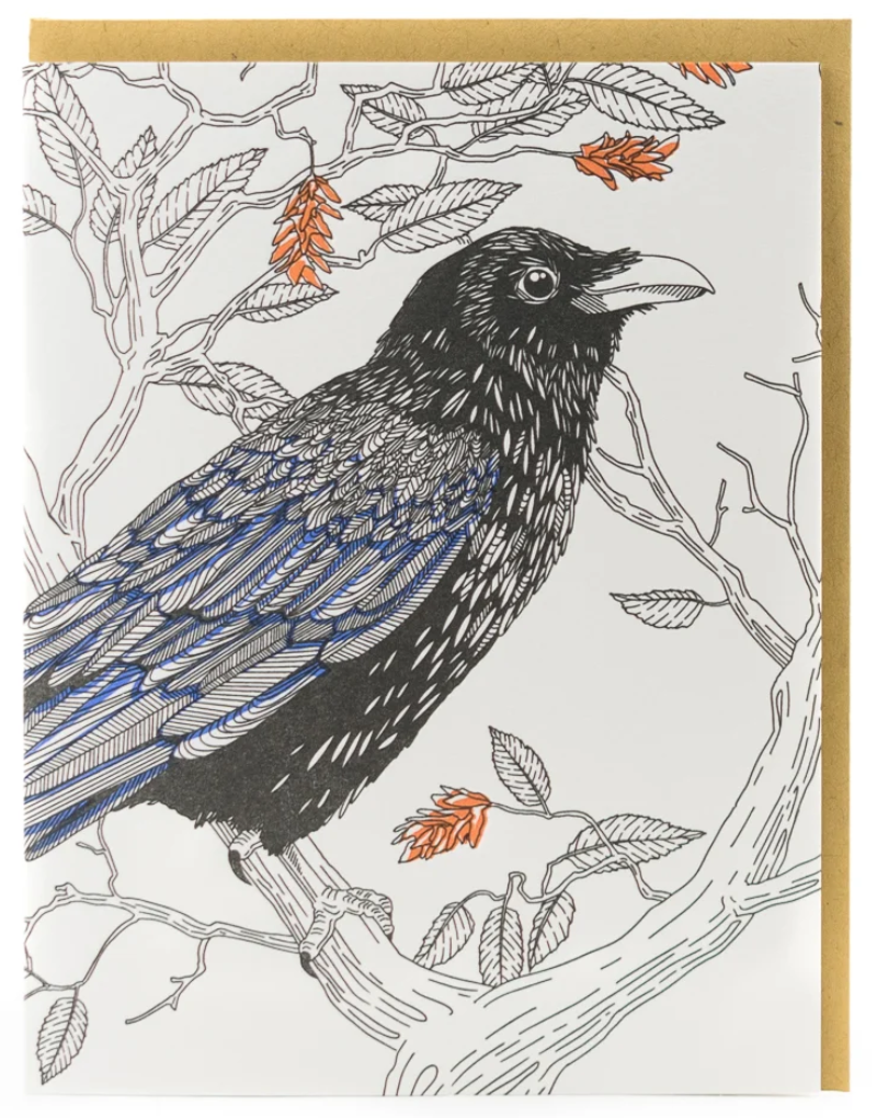 Raven - 6 Card Box Set