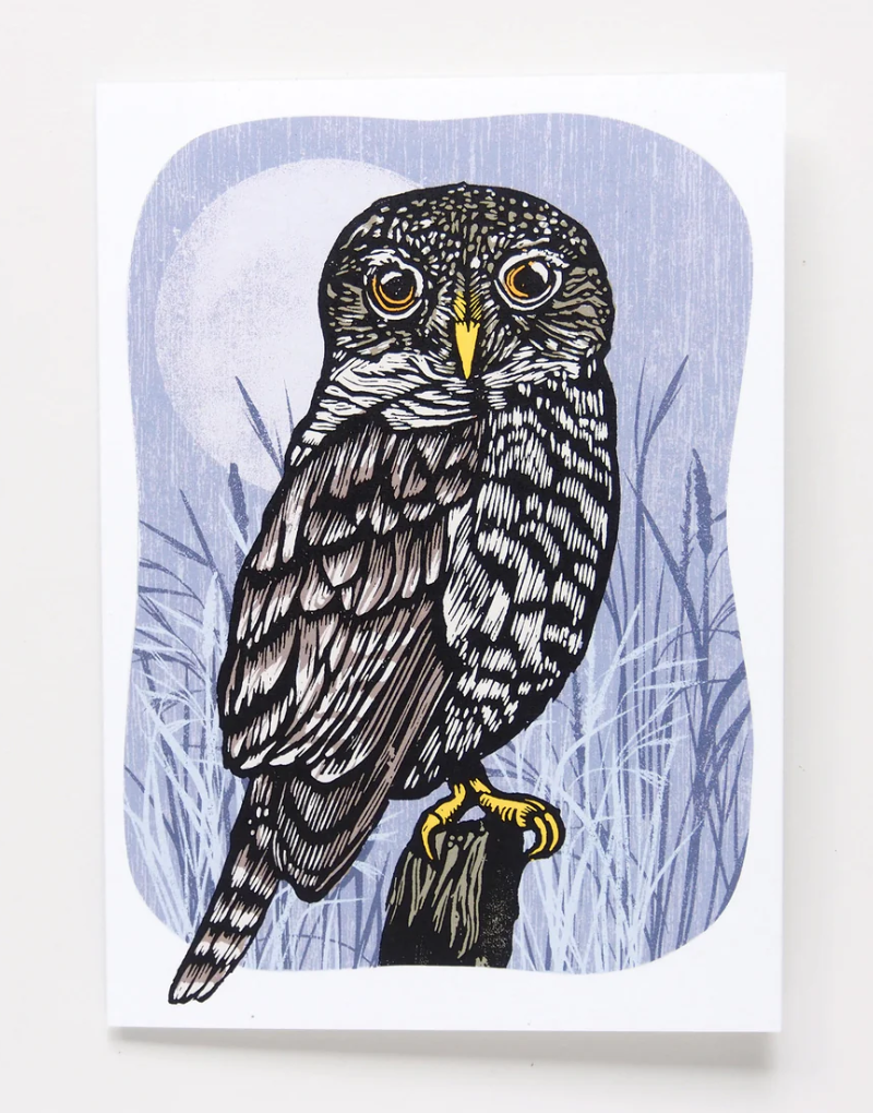 Night Owl - Blank Card