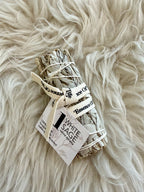 White Sage - Forest Friendly Bundle 4"