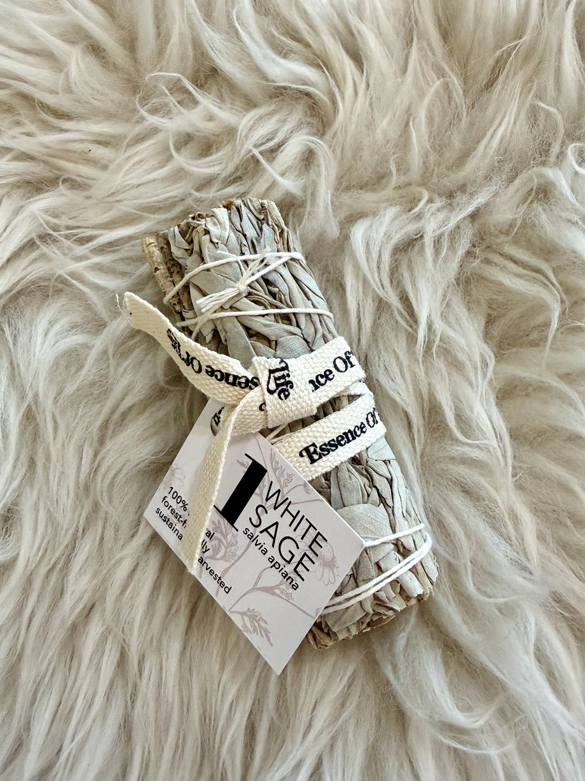 White Sage - Forest Friendly Bundle 4"