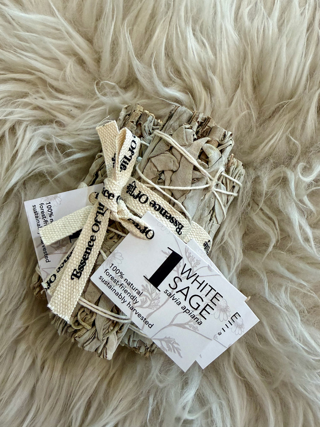 White Sage - Forest Friendly Bundle 4"