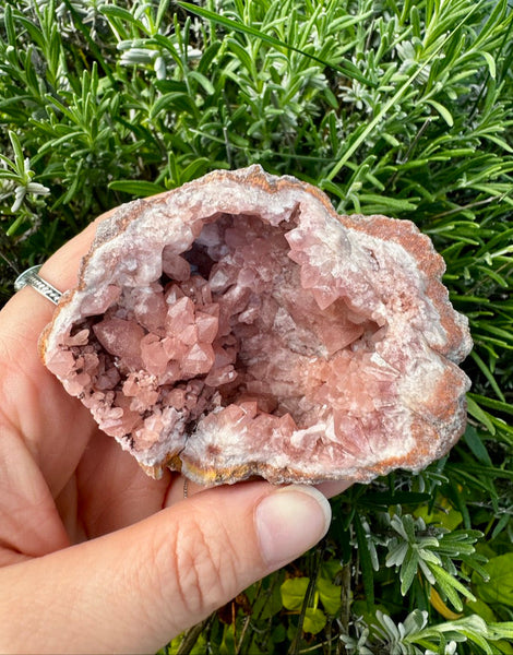 Pink Amethyst Cluster - Large