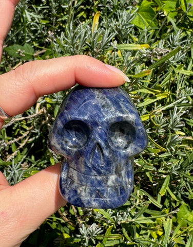 SODALITE SKULL