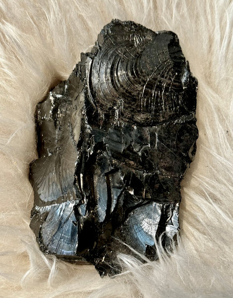 Elite Shungite Raw - Specimen