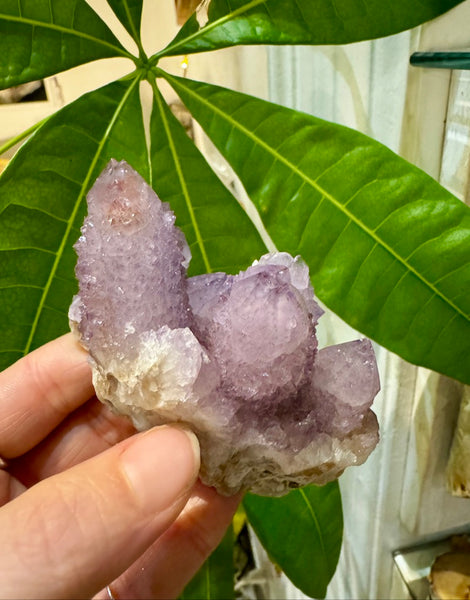 Spirit Fairy Quartz Cluster