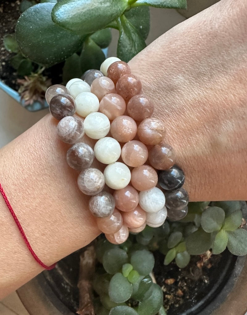Hand wearing a stack of multicolored beaded bracelets with a plant in the background