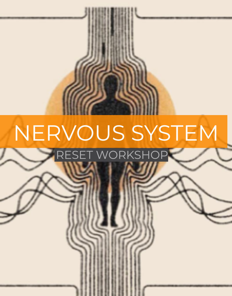 Illustration of a nervous system with a silhouette of a person, labeled 'Nervous System Reset Workshop'.