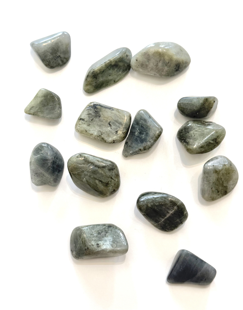 Labradorite (M) A+