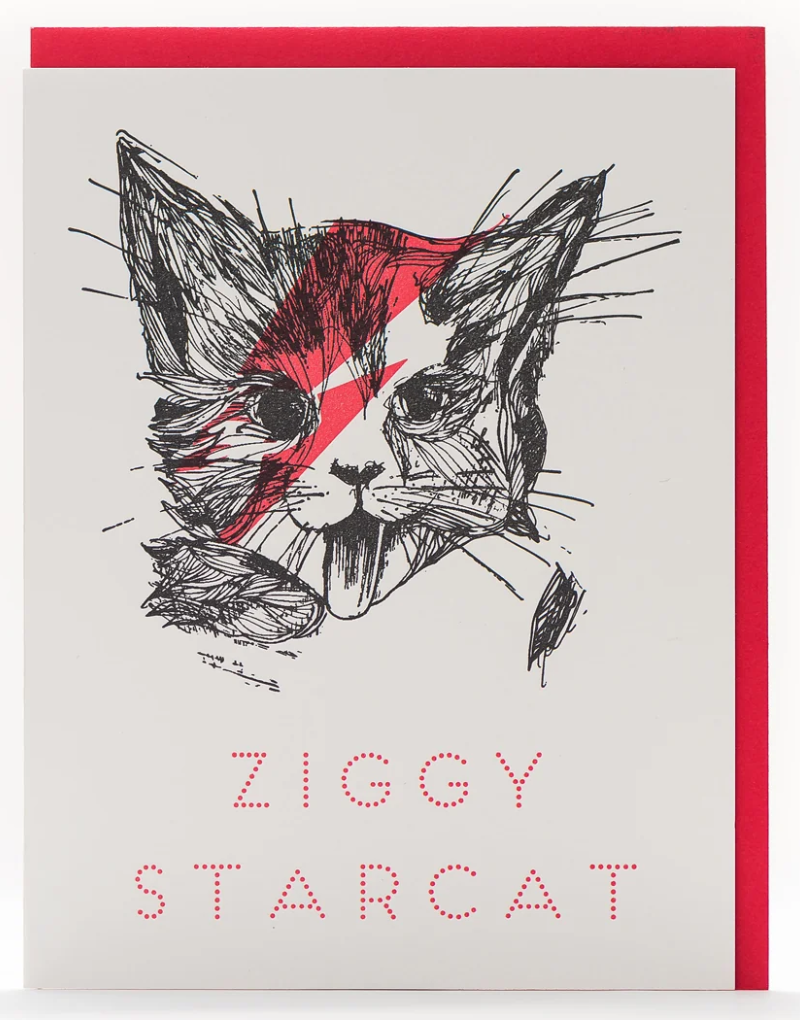 Ziggy Star Cat- Blank Card