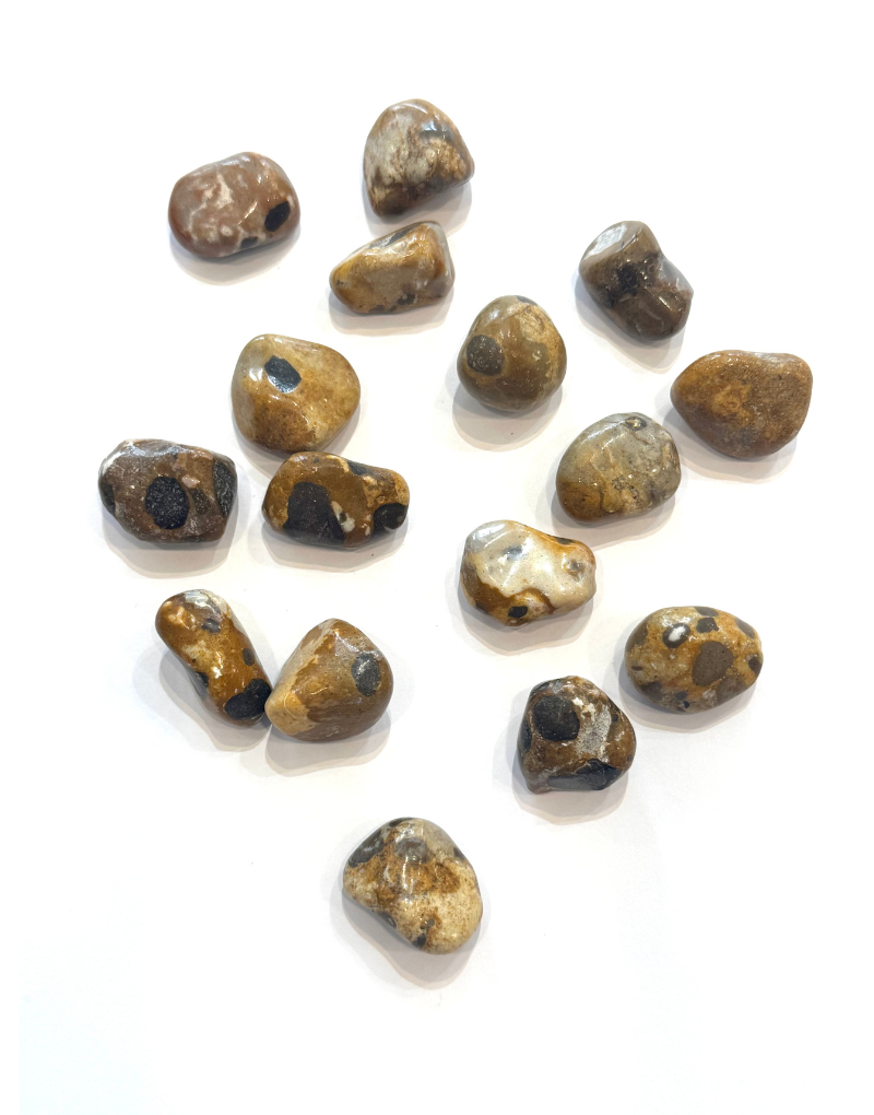 Agate - Leopard Skin (M)