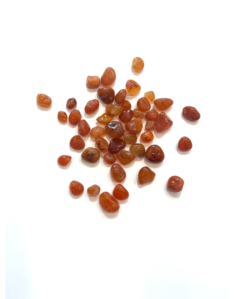 Carnelian- (XS)