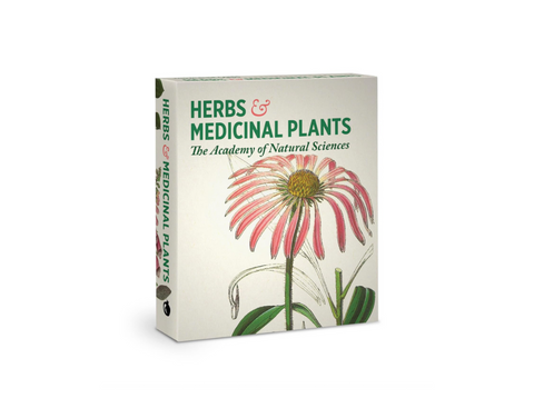 HERBS AND MEDICINAL PLANTS KNOWLEDGE CARDS