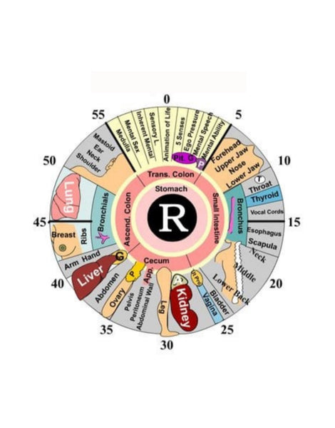 Iridology Right eye