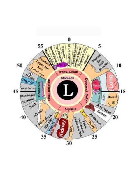 Iridology L eye