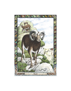 DRUID ANIMAL ORACLE DECK