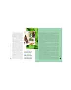 Plant Spirit Medicine