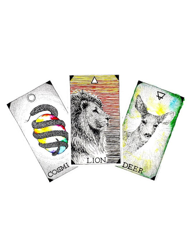 Wild Unknown Animal Spirit Deck