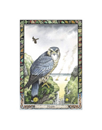 DRUID ANIMAL ORACLE DECK