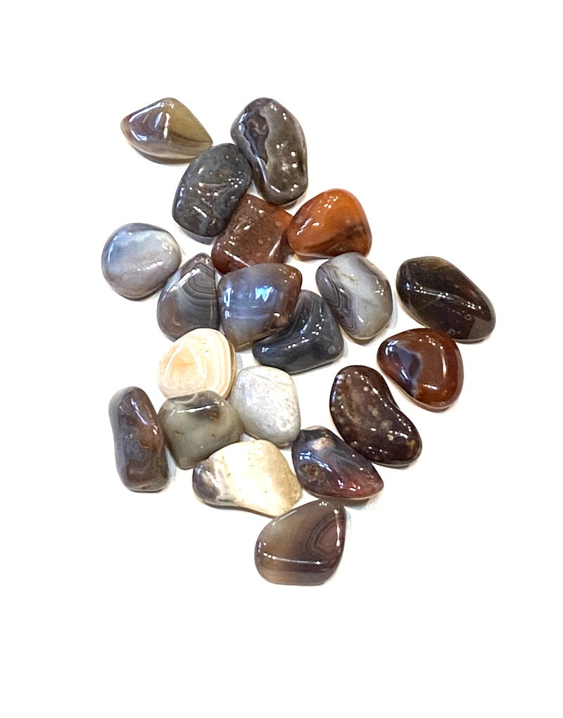 Agate - Grey Botswana (M)