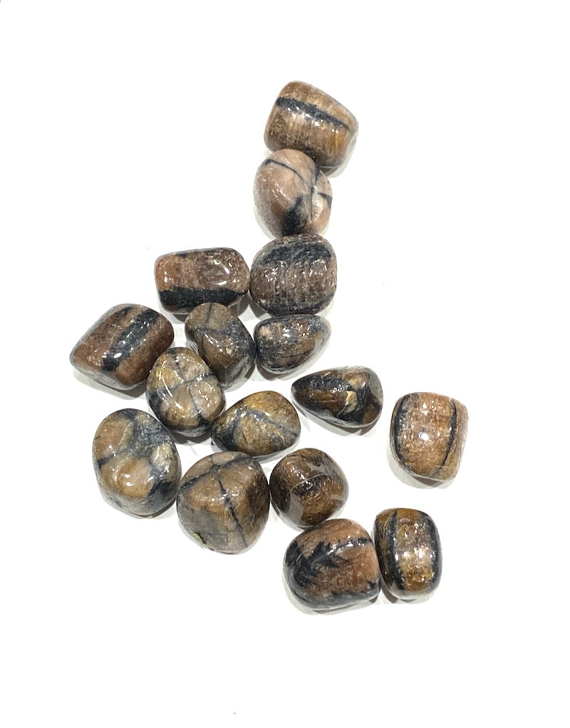 Chiastolite Andalusite - (M)