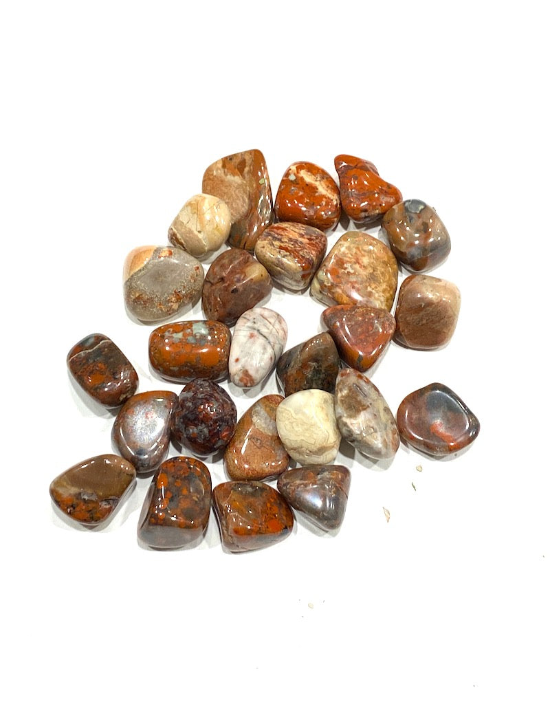 Jasper - Breciated (S/M)