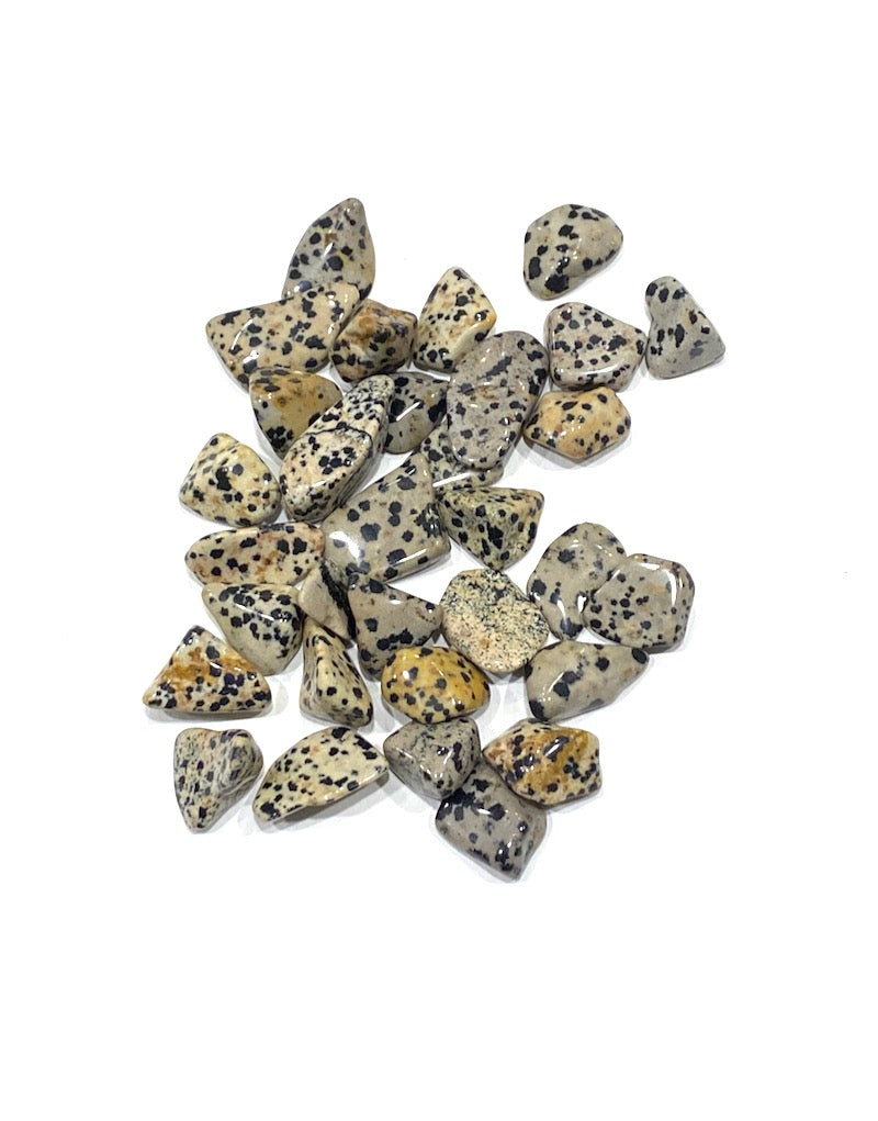 Dalmatian Stone - (s)