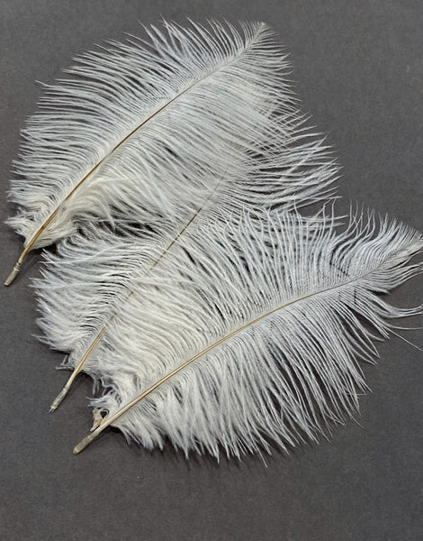 Ostrich Feather - White S