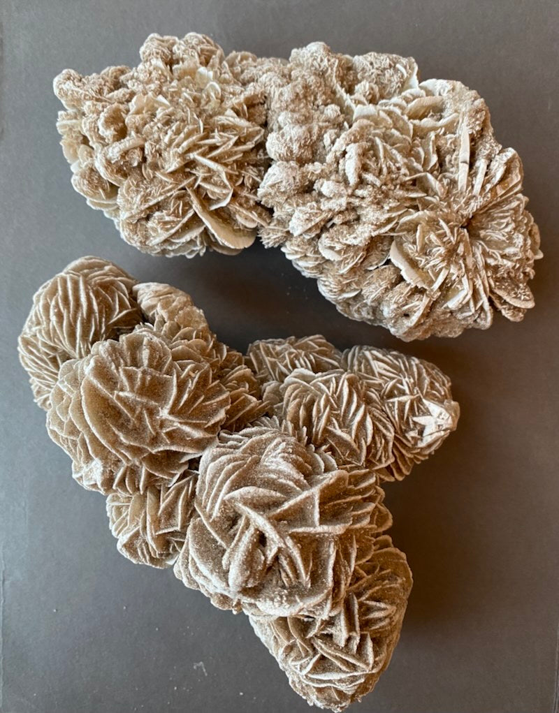 Desert Rose Raw Cluster - XL