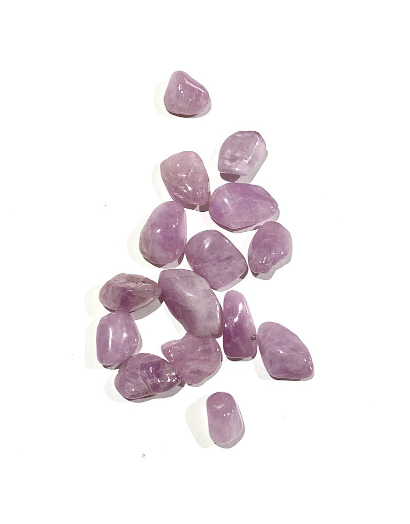Kunzite - A+ S