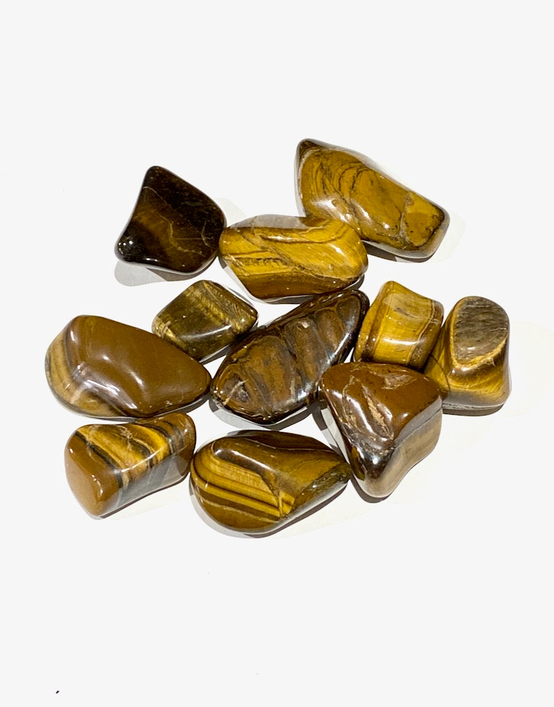 Tiger Eye - Gold XL