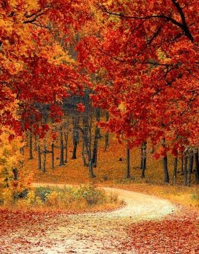 MABON - FALL EQUINOX GODDESS RITUAL- SEPT 21ST