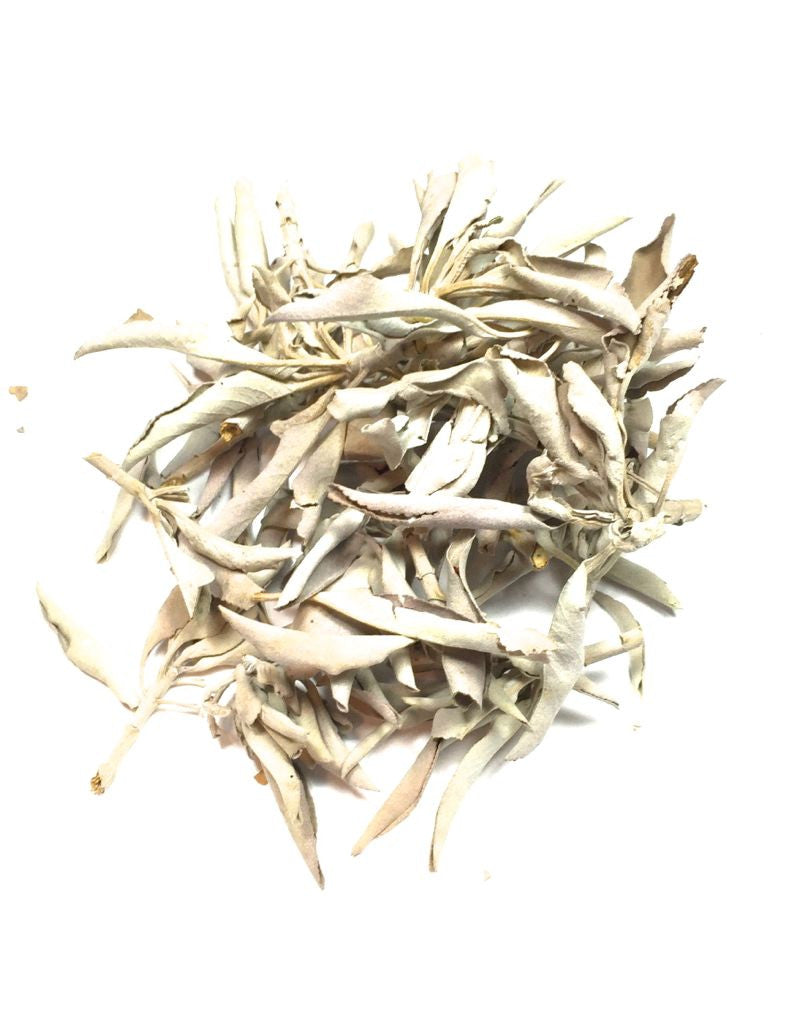 Sage - Bagged Loose - 1 oz