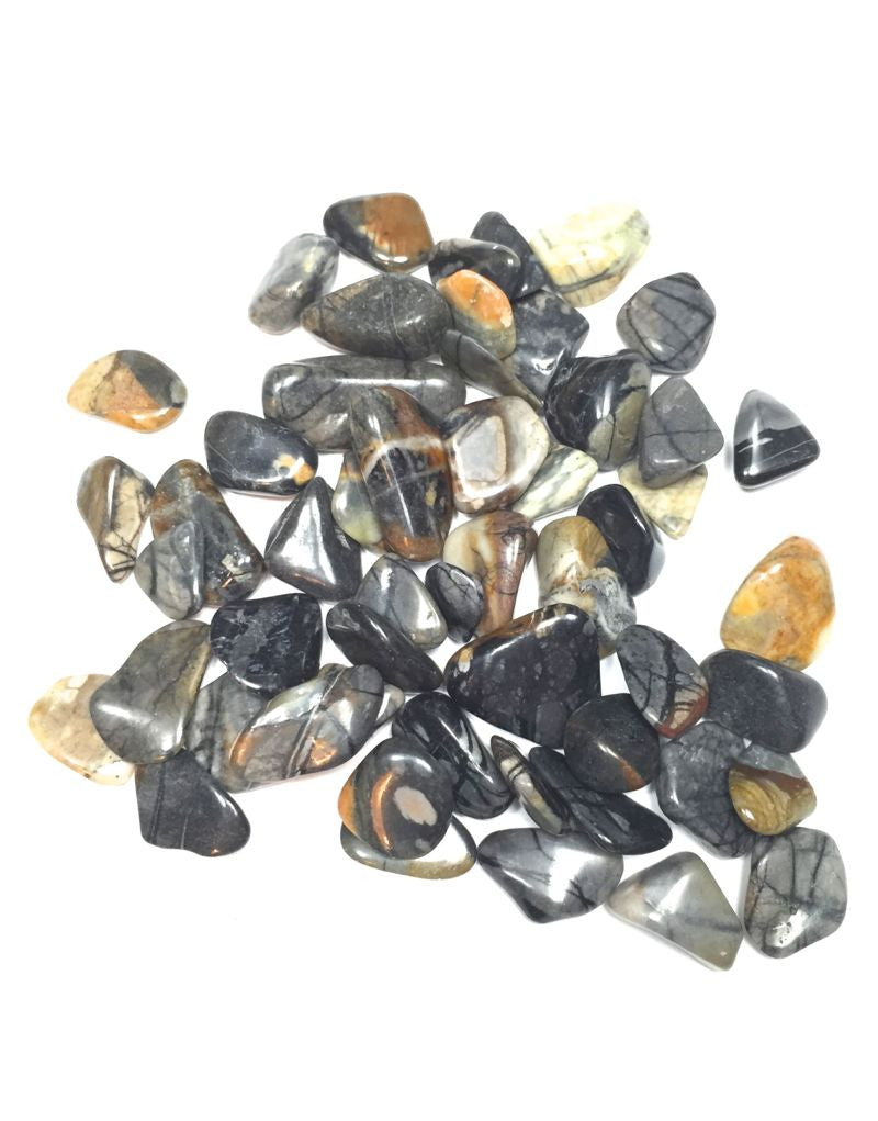 Picasso Jasper - s